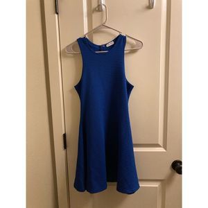 Tobi Blue Sleeveless Dress with Zipper